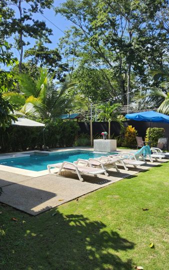 Sunny backyard pool with lounge chairs, blue umbrellas, and trees casting shade