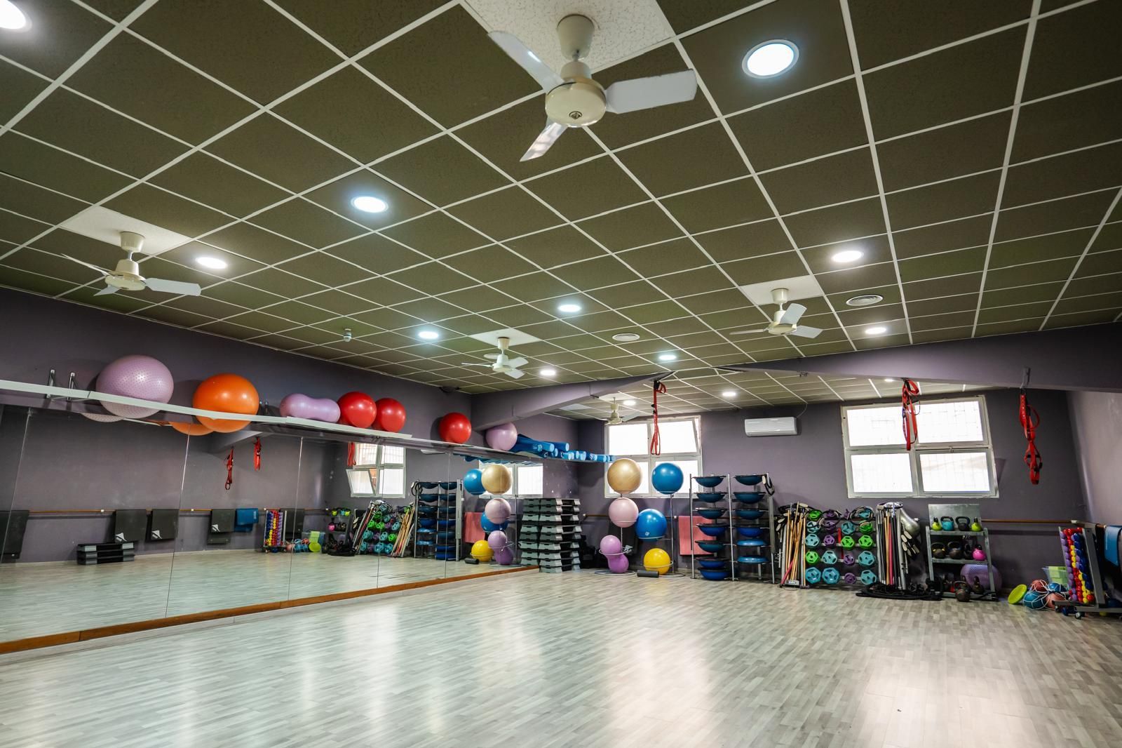 palestra new fit