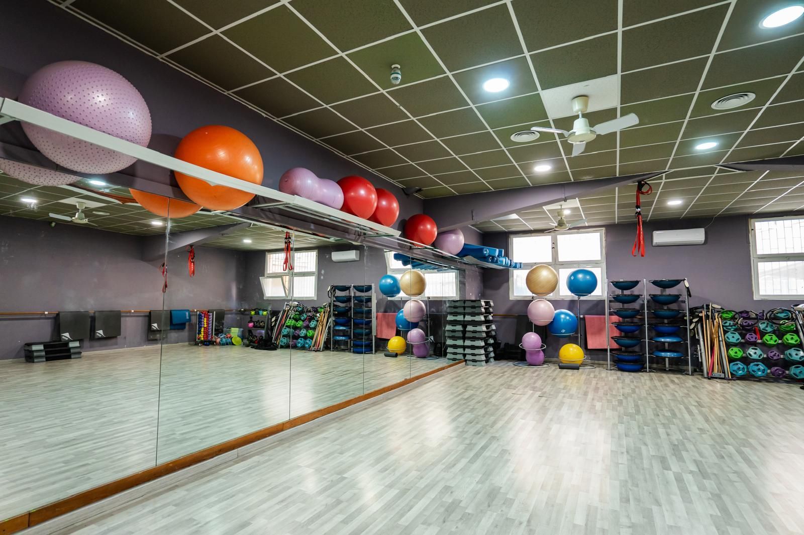 palestra new fit