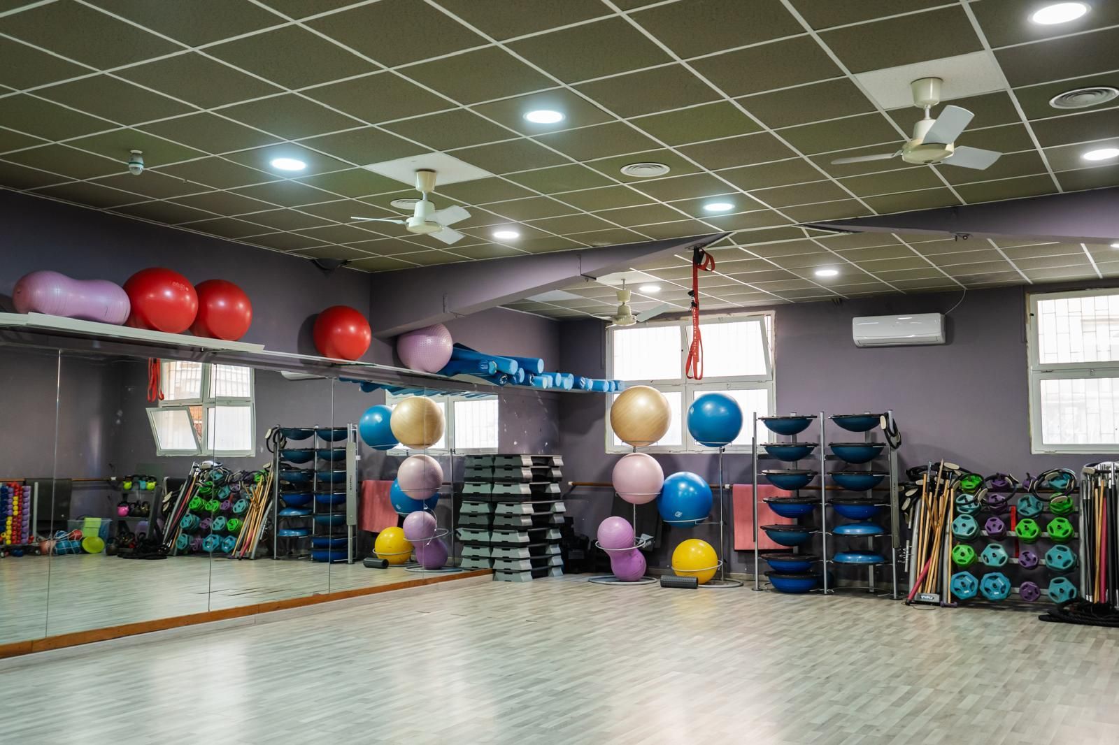 palestra new fit