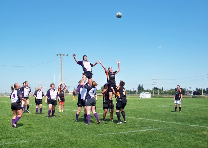 Rugby players compete in a lineout on a grassy field, with two players lifted high into the air toward a ball.