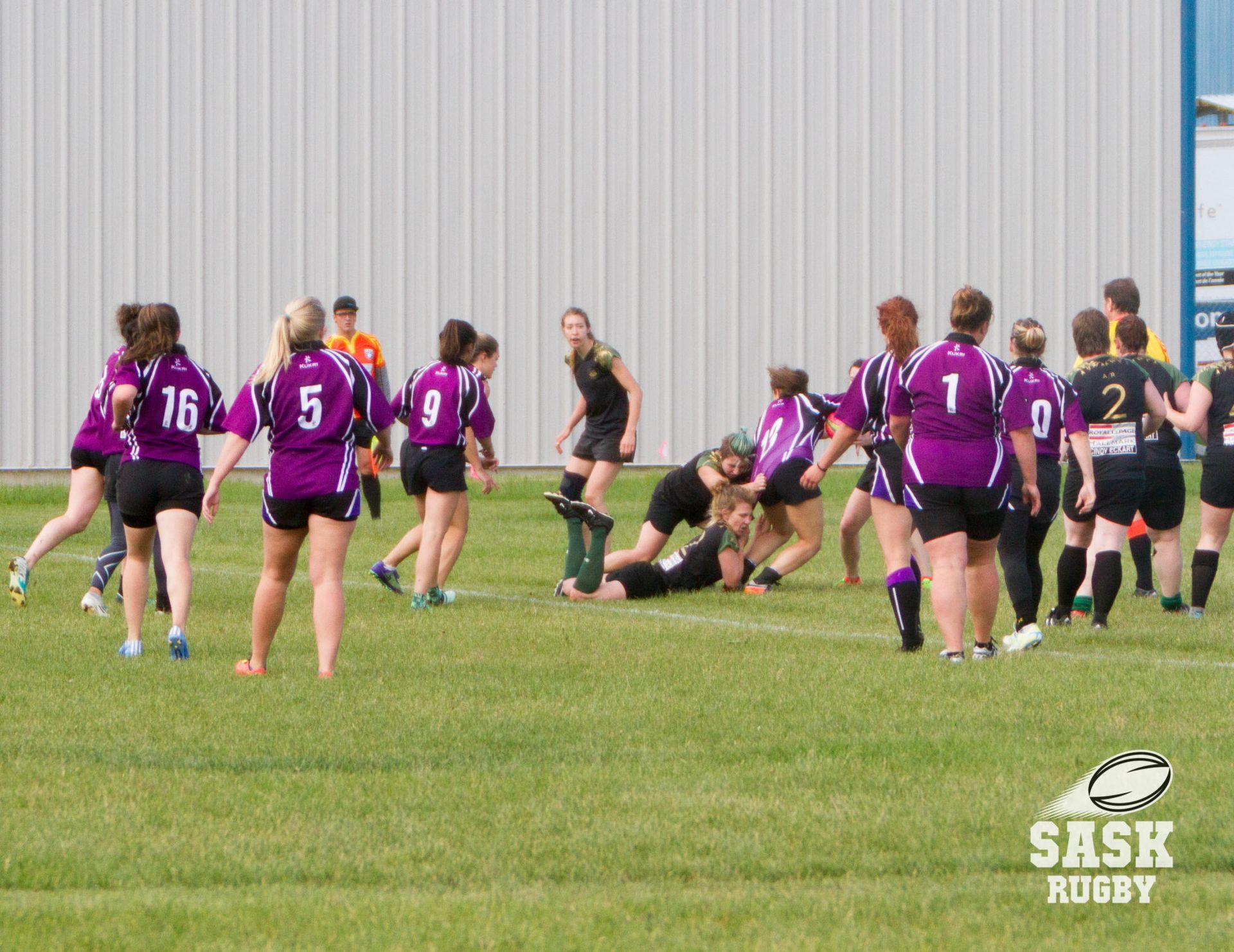 Rugby players in purple and black jerseys compete on a grass field in front of a metal building.