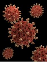 Picture of five little red bacterias floating around in space with a black background.