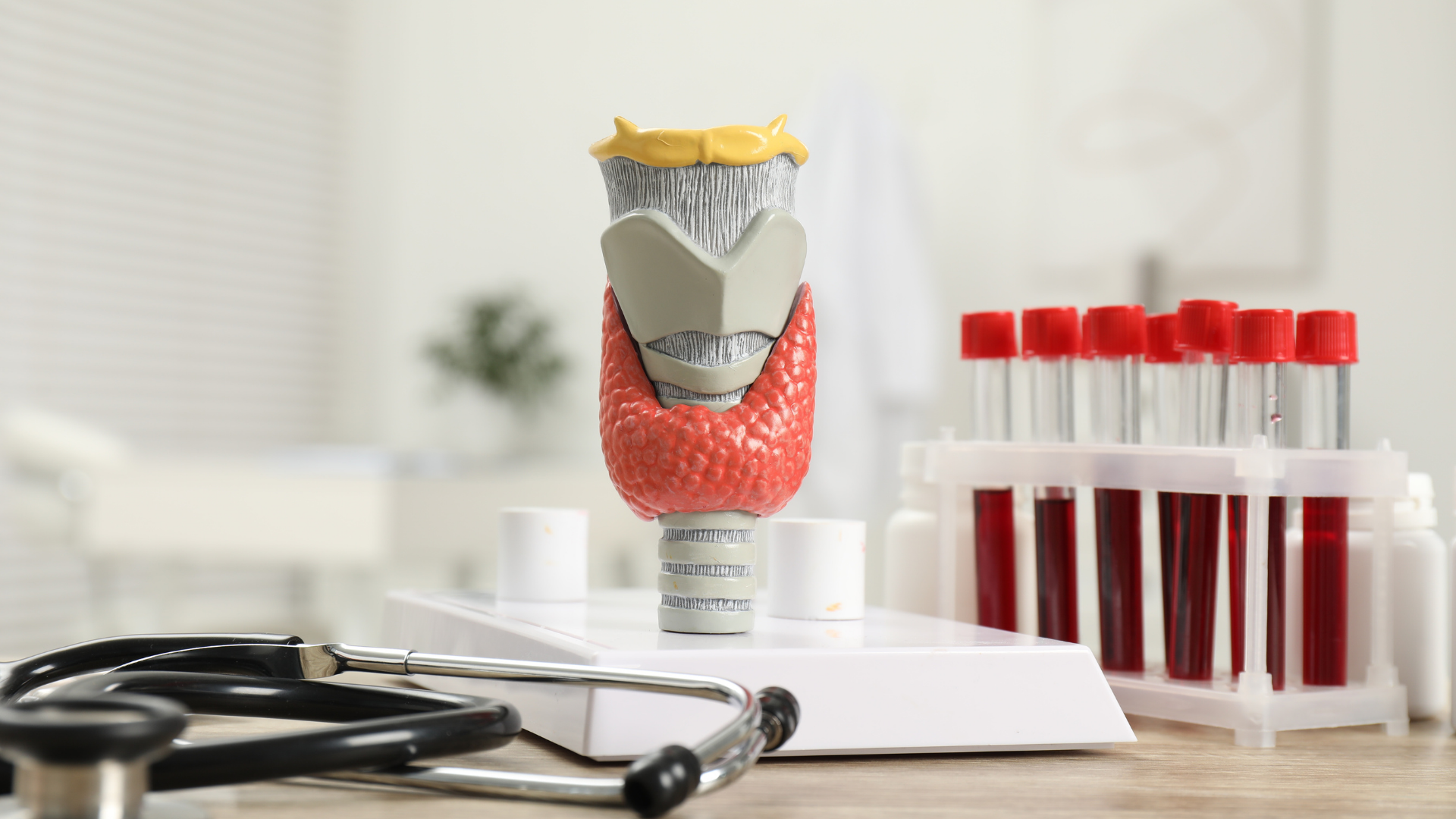 Dentist model on desk with stethoscope and test tubes of red liquid in a lab setting
