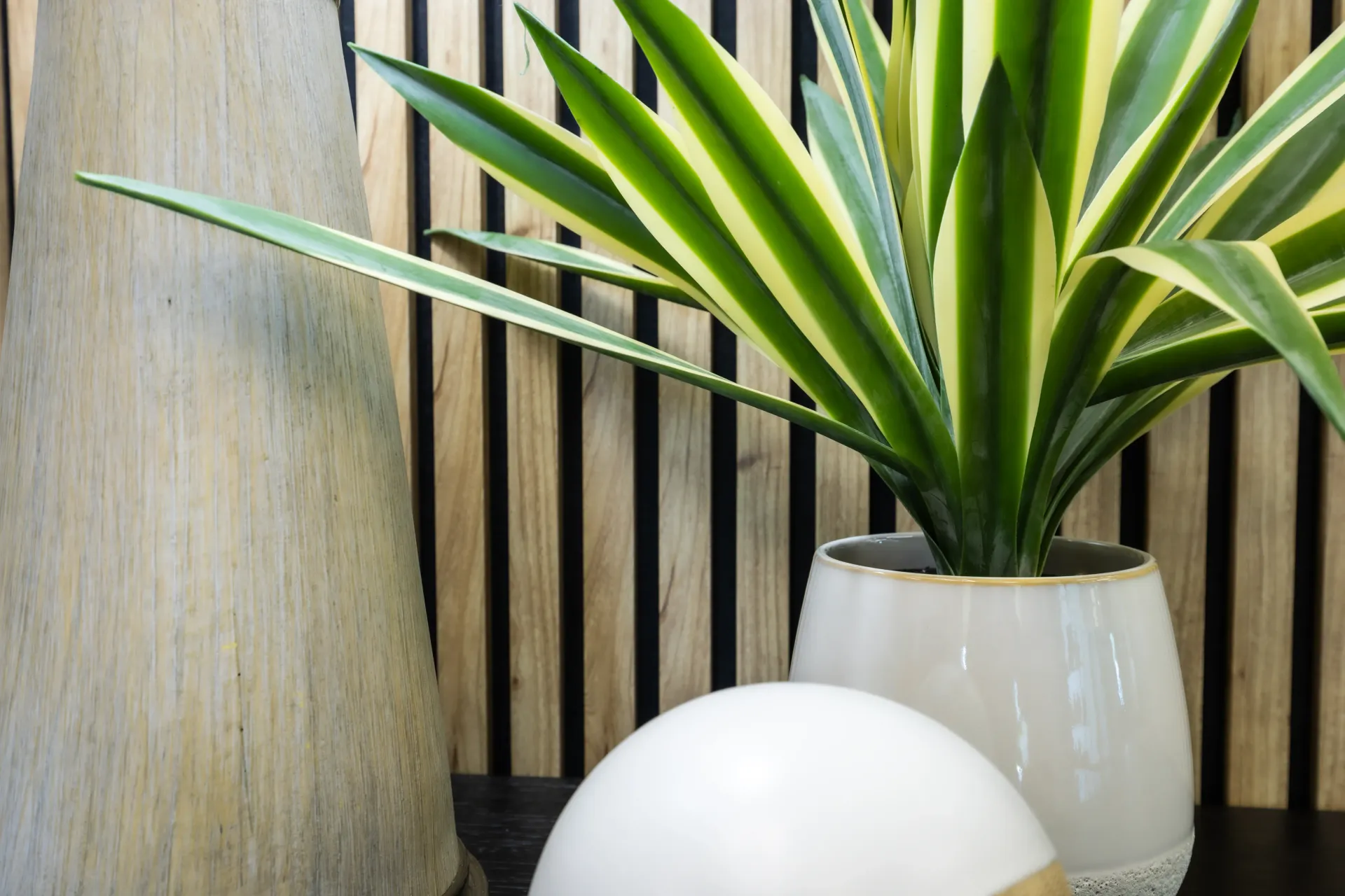 Potted variegated plant beside a white sphere on a wooden shelf
