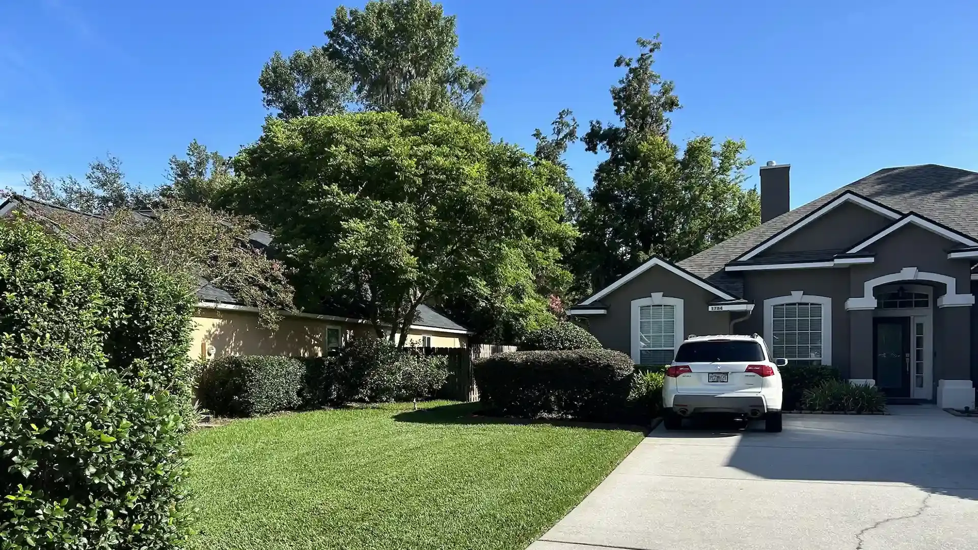 A freshly mowed lawn