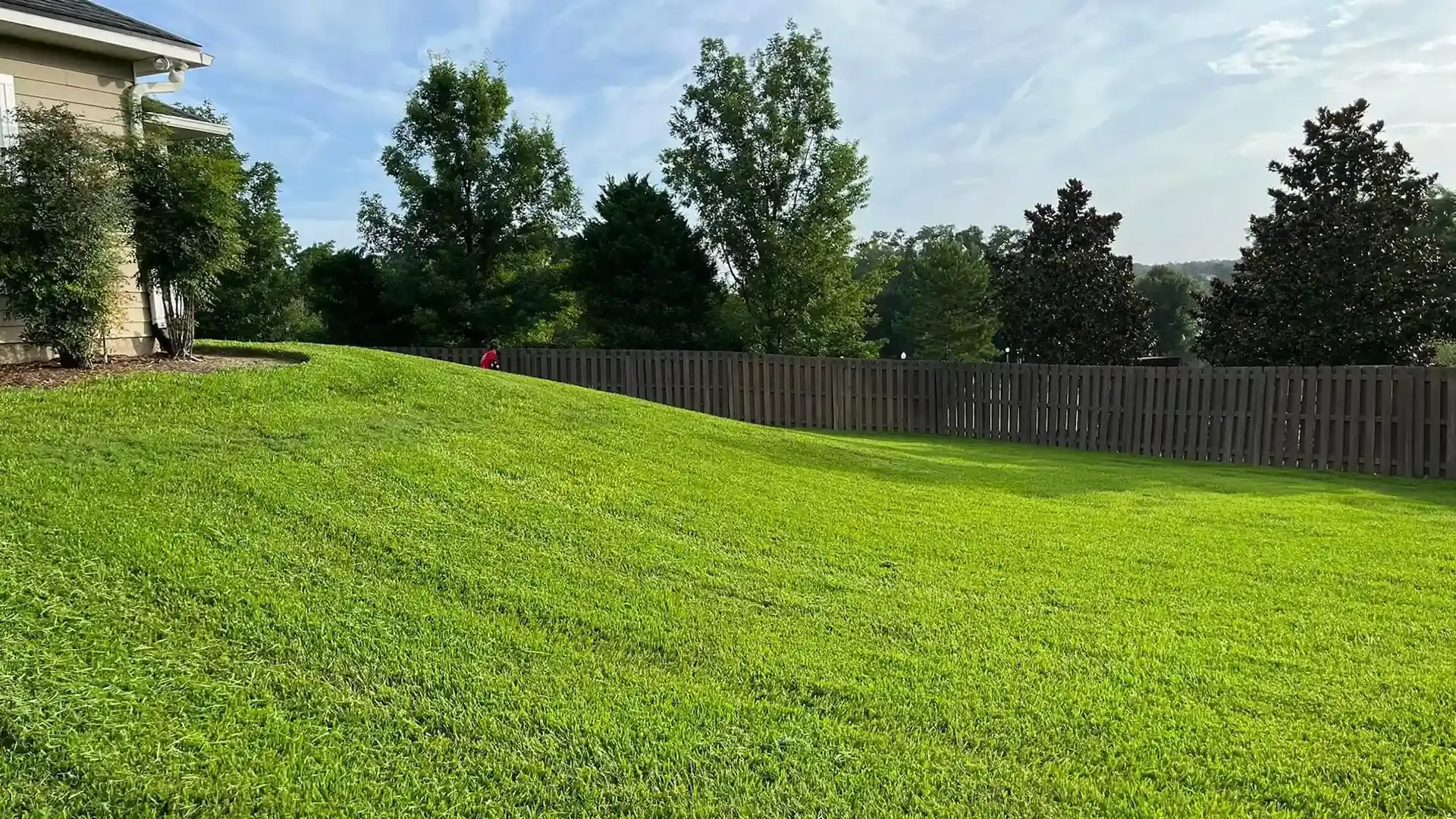 A lush green lawn with a wooden fence in the background