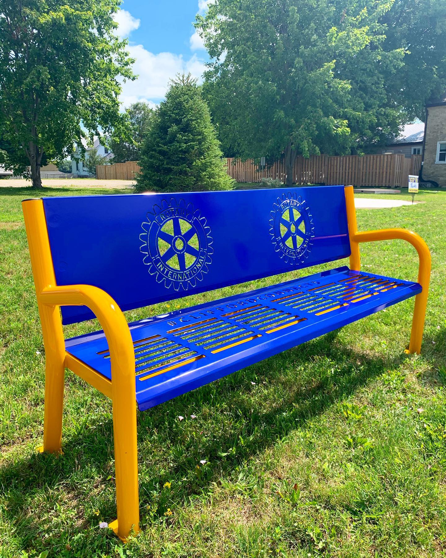 Blue Rotary bench and tree at Clifford Rotary Celebration Square