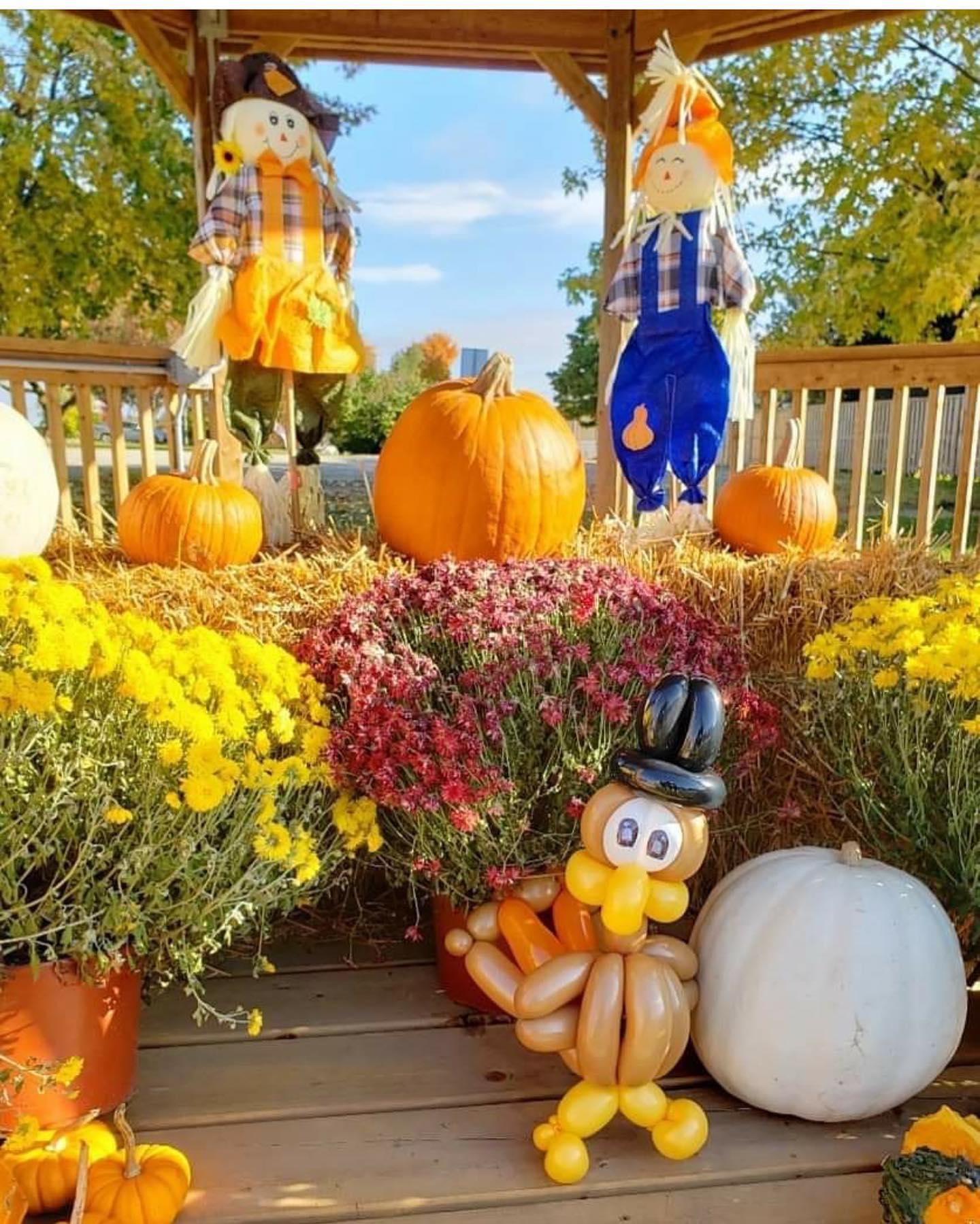 Fall-themed scarecrow and pumpkin display at Clifford Rotary Celebration Square
