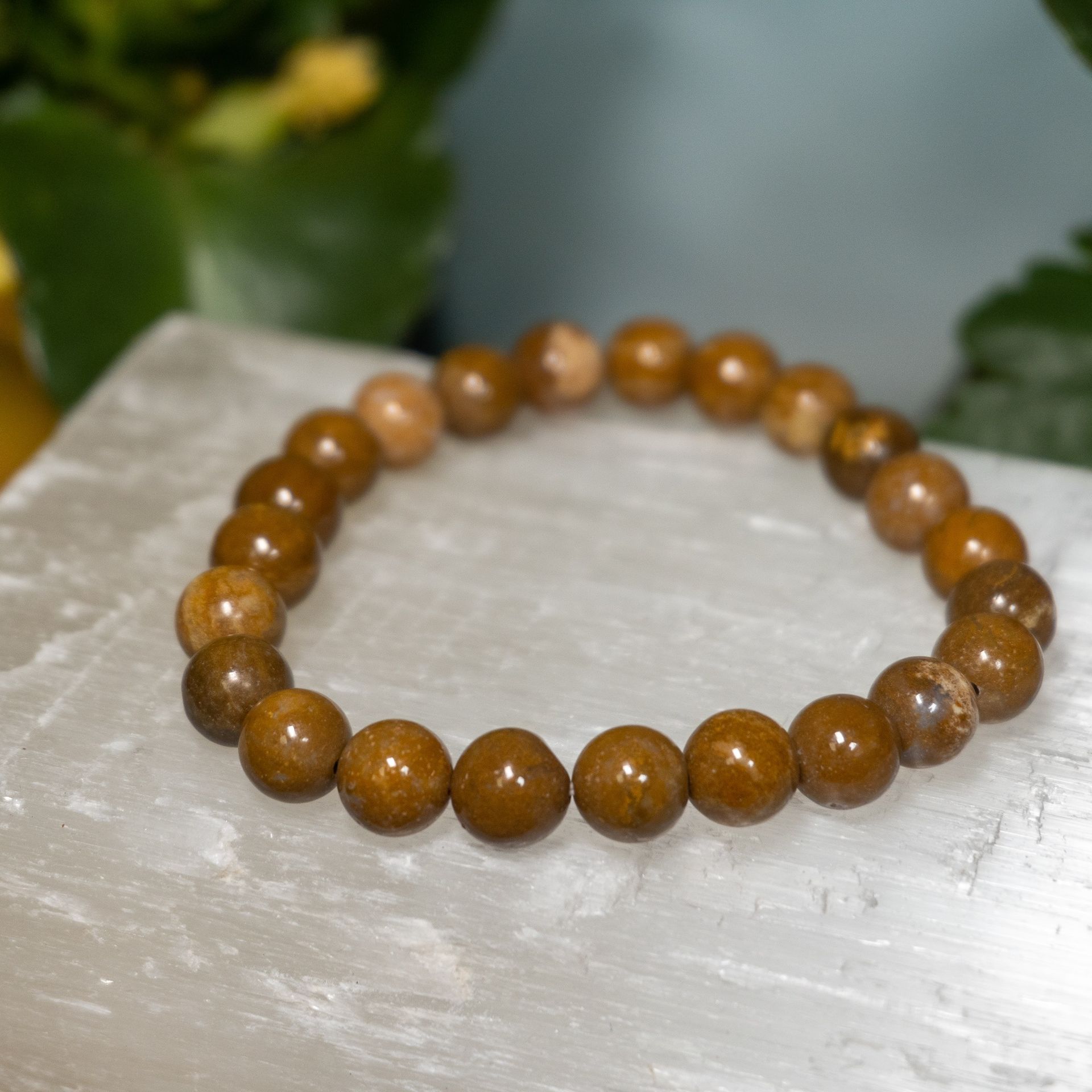Petrified Wood Bracelets