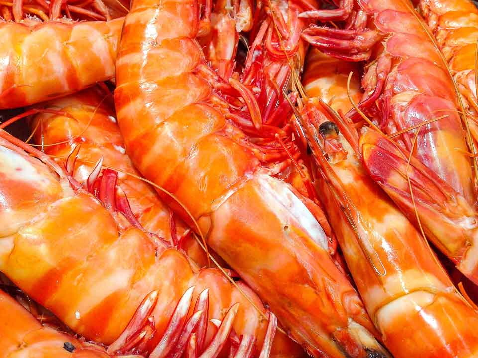 A close up of a pile of shrimp on a table.