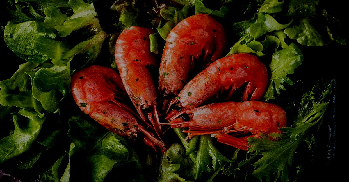 A bunch of shrimp sitting on top of lettuce leaves.