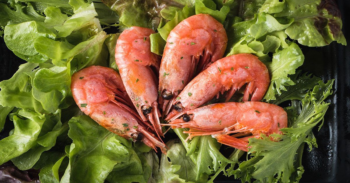 A bunch of shrimp sitting on top of a bed of lettuce.