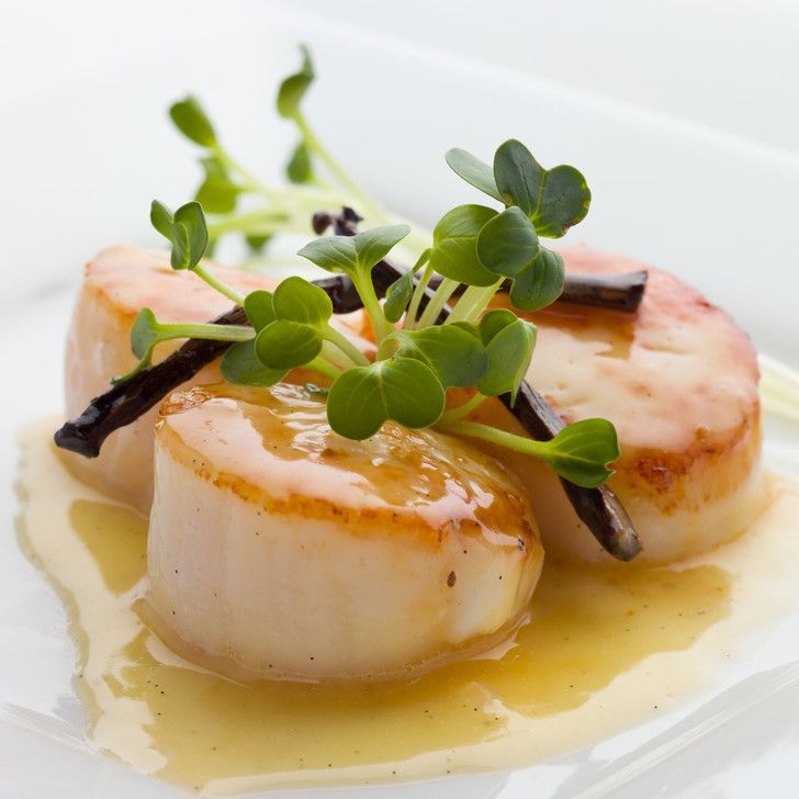 A white plate topped with scallops and sauce
