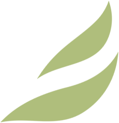 Abstract green logo with two curved leaf-like elements arranged diagonally on a transparent background.

