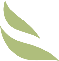 Design2-192
