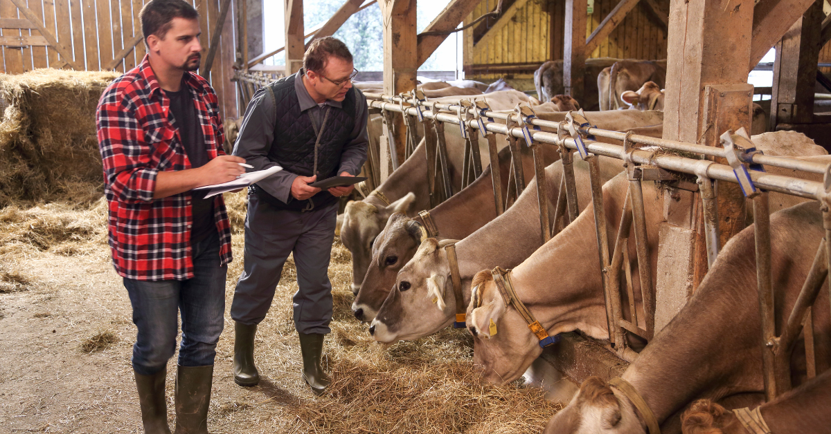 livestock finance australia
