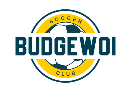 Logo for Budgewoi Soccer Club: a dark blue soccer ball inside a yellow circle with the text 