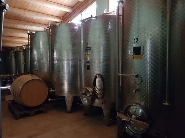 degustazione vino 4
