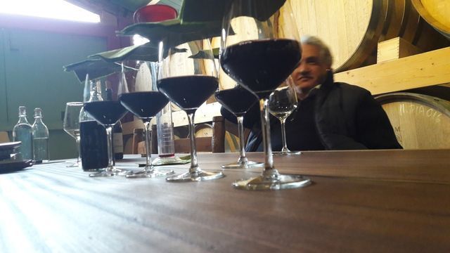 degustazione vino 6