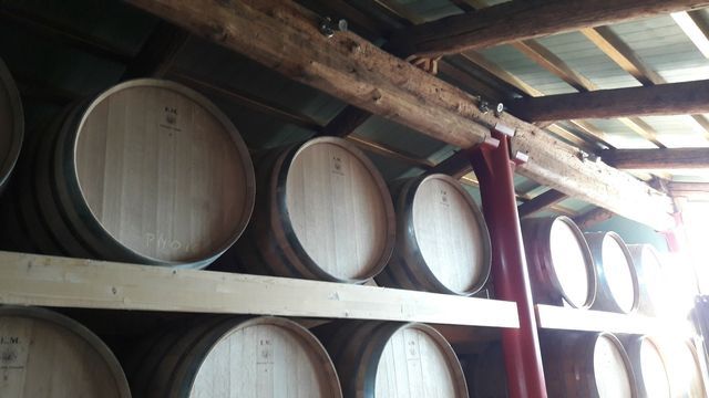 degustazione vino 7