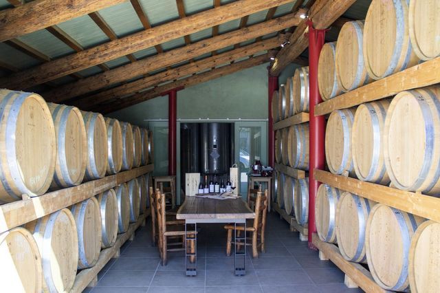 degustazione vino 8
