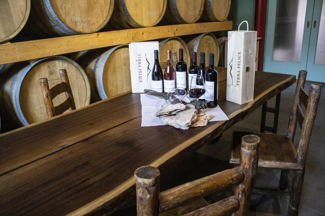 degustazione cantina botti bottiglie