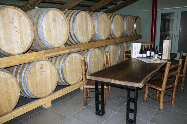 degustazione vino 9