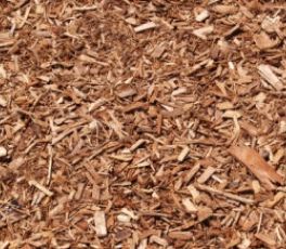 770-Tree-Guy gallery