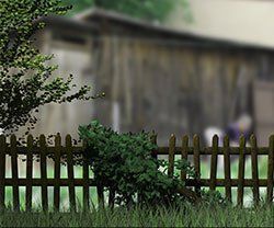A wooden fence with a shed in the background and a tree in the foreground in Columbus
