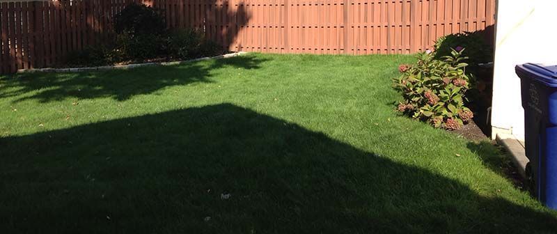 A backyard with a fence and a blue trash can in Columbus