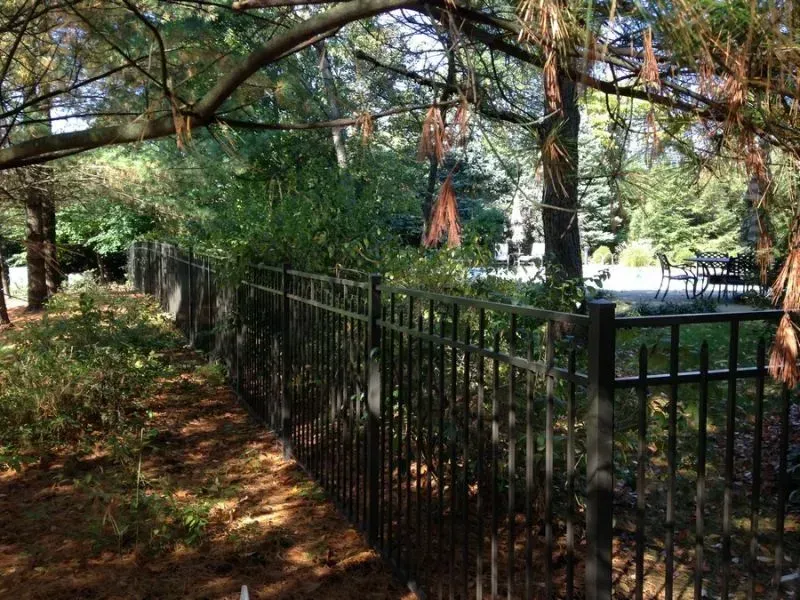 A black aluminum fence surrounds a lush green forest in Columbus