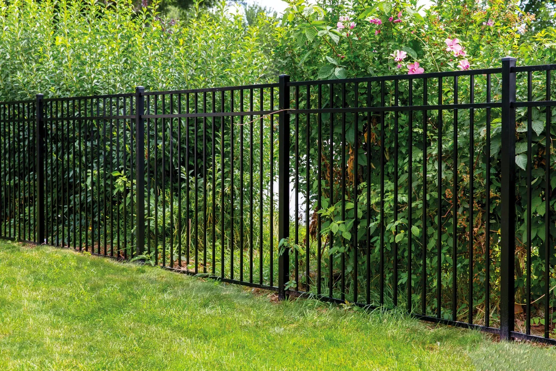 A black aluminum fence surrounds a lush green yard in Westerville