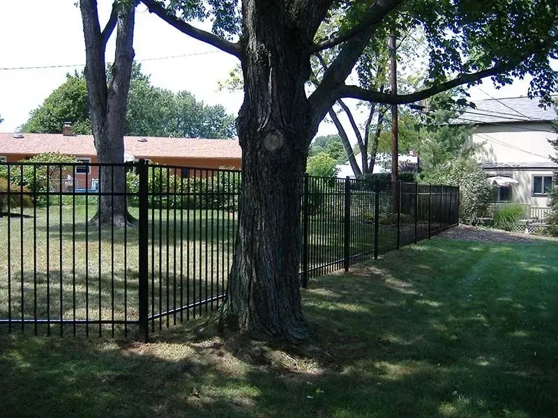 A black aluminum fence surrounds a lush green yard in Columbus