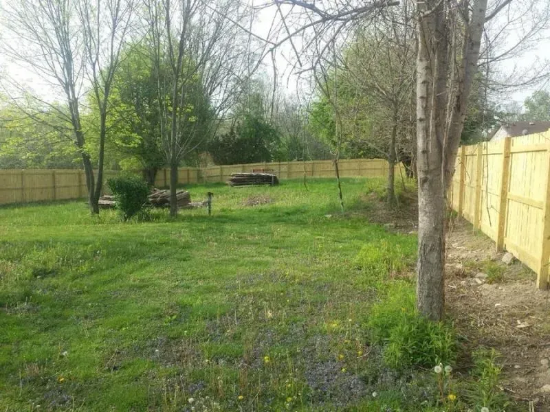 A backyard with a wooden fence and trees in the background in Columbus