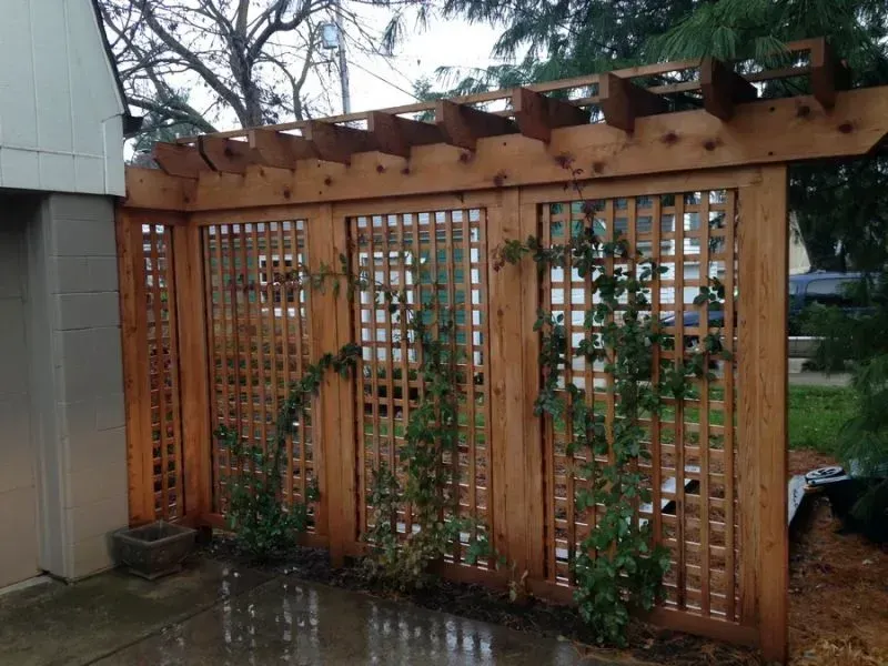 A wooden fence with vines growing on it in Columbus