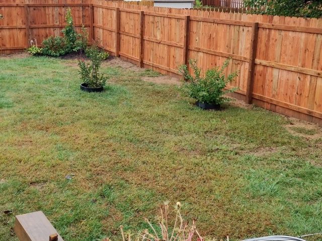 A backyard with a light brown wooden fence enclosing a grass lawn and several small green shrubs in Columbus