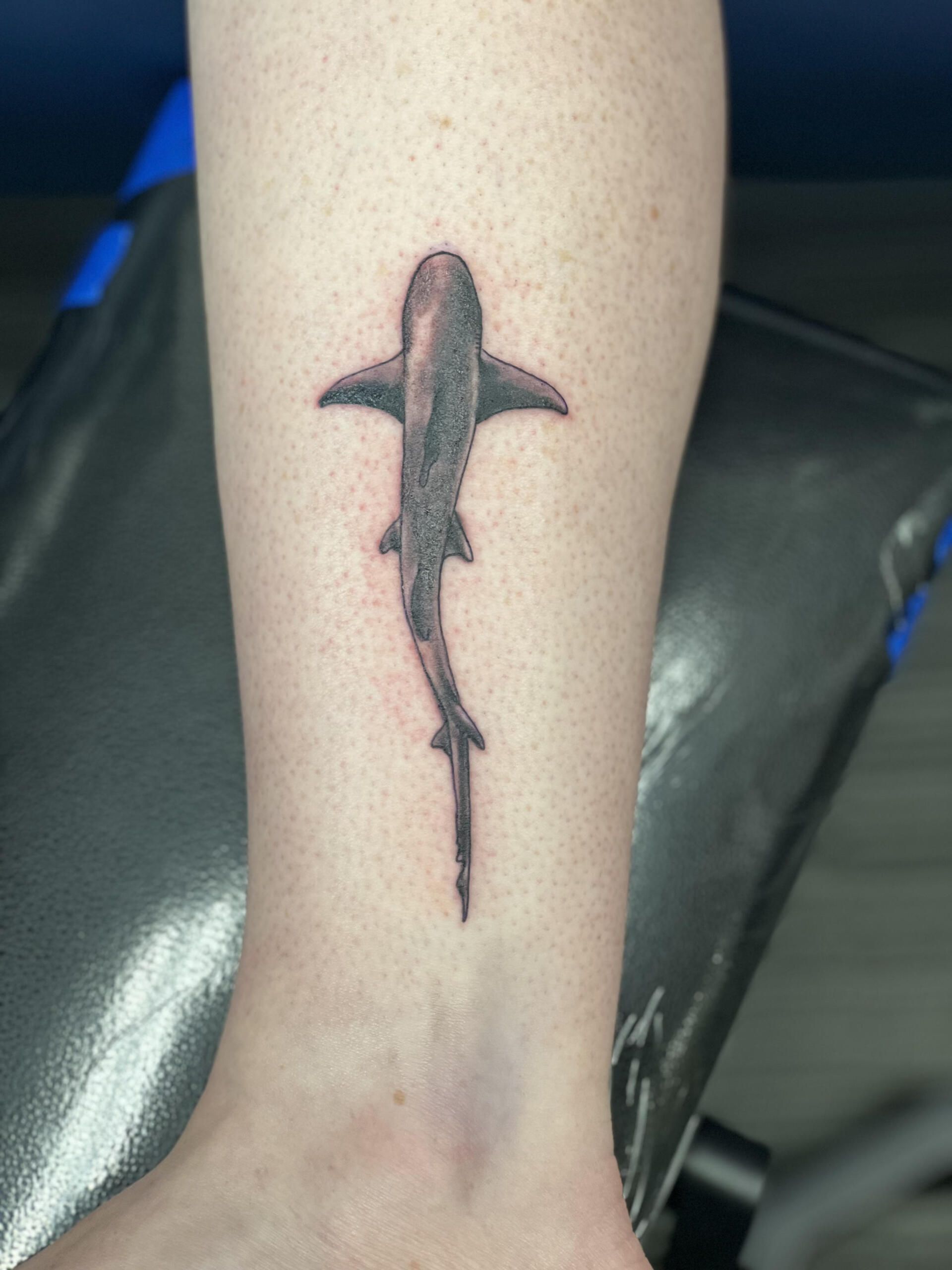 A tattoo of a shark on a person 's leg