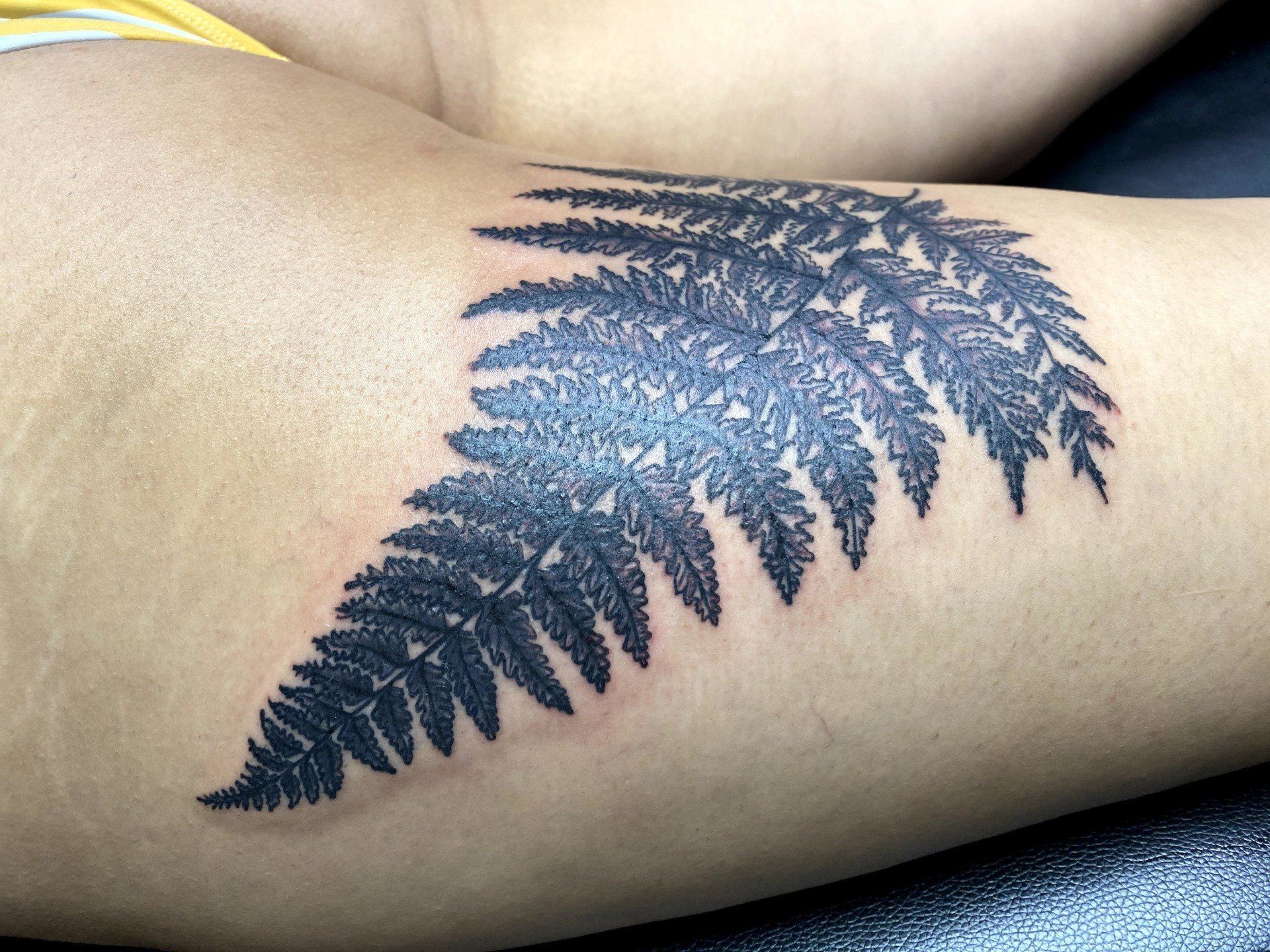 A woman has a black fern tattoo on her arm