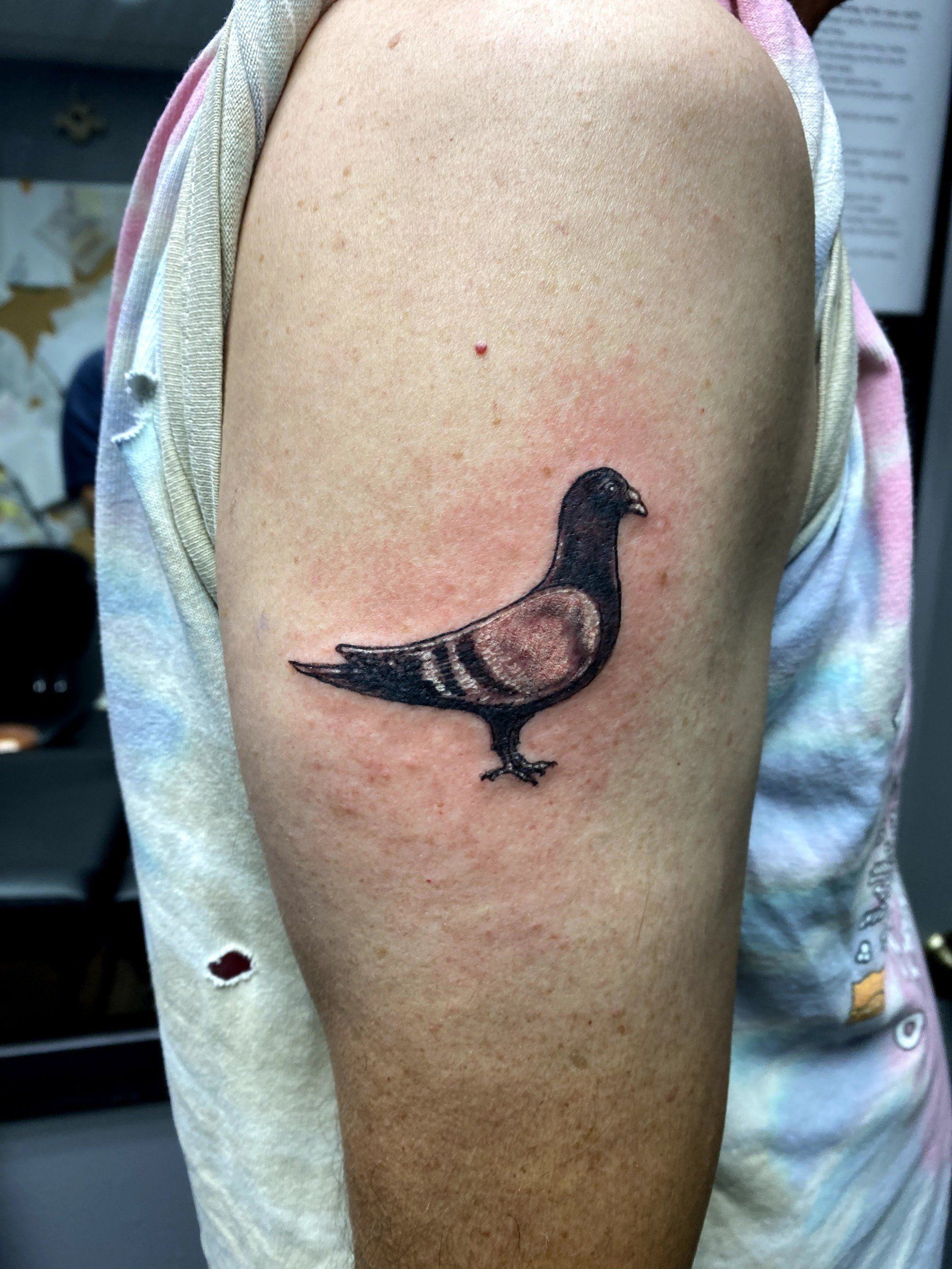 A person has a tattoo of a pigeon on their arm