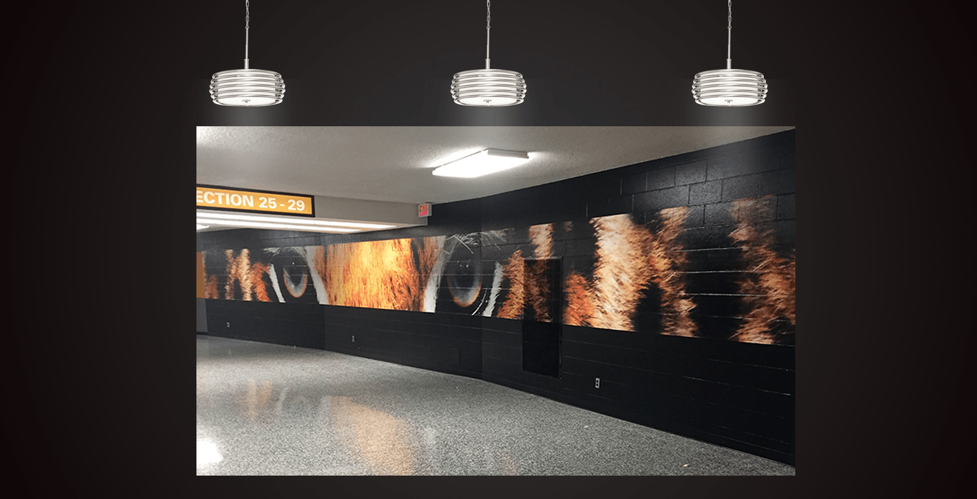 printed wall graphics