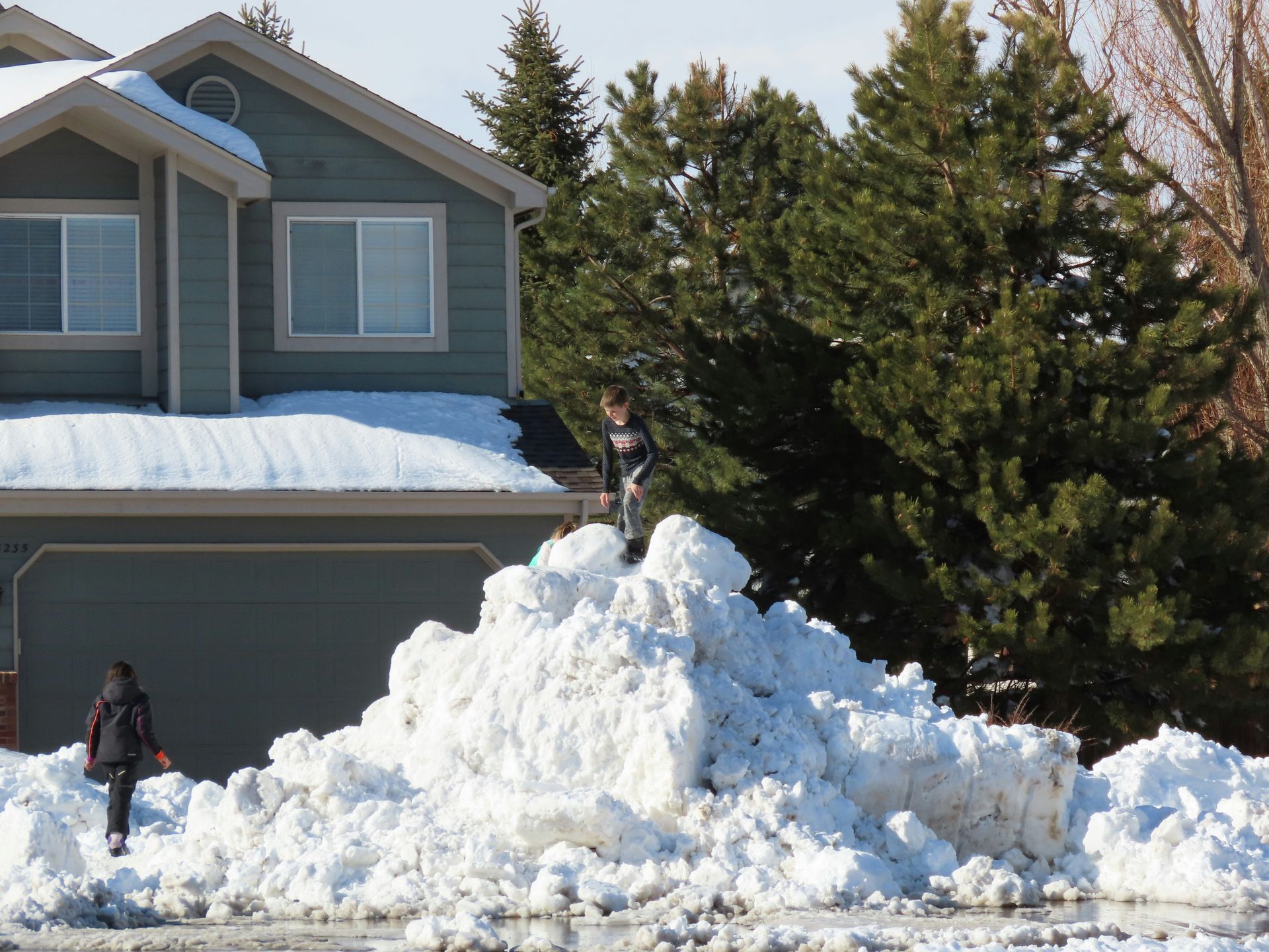 People standing on a large snow pile outside a house with evergreens in the background