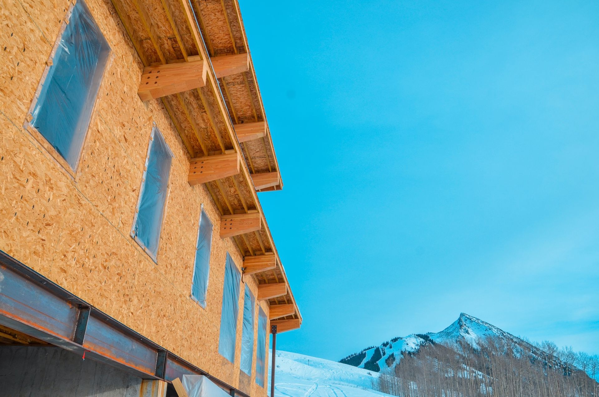 Cinnamon+B+Murphy+Construction