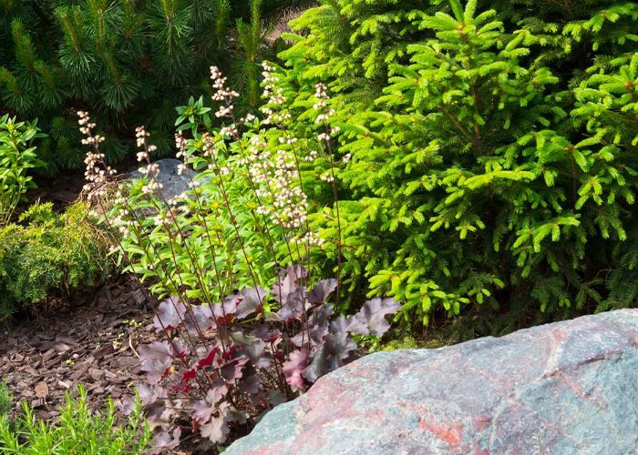 A rock in the middle of a garden surrounded by trees and plants.