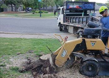 A man is using a machine to remove a tree stump.