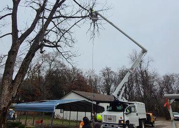 A white truck with a crane attached to it is cutting a tree.