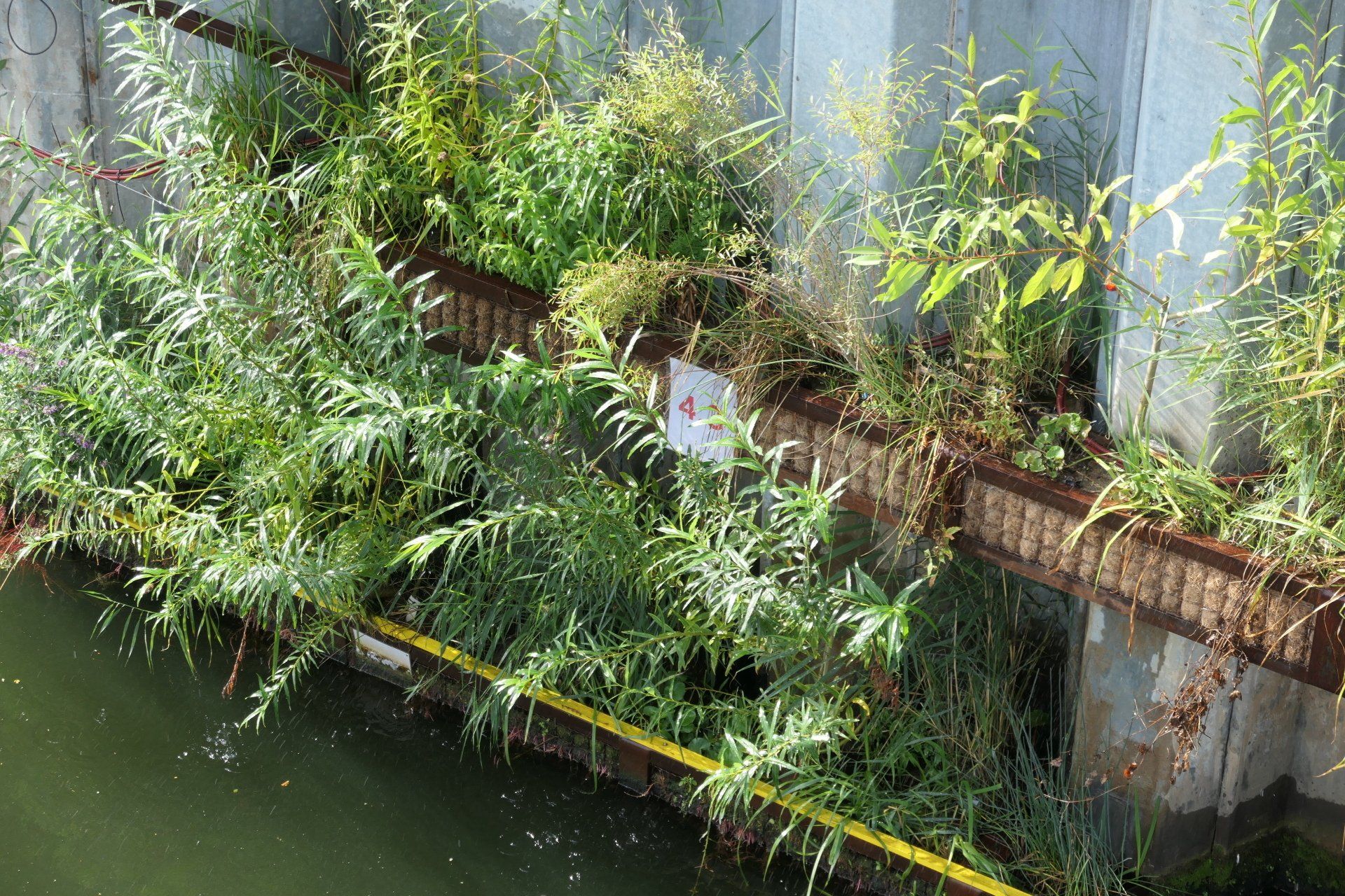 Die zweistufige Testanlage der Vertikal Wetlands ist mit verschiedenen Pflanzen bepflanzt, um diese zu erproben.
