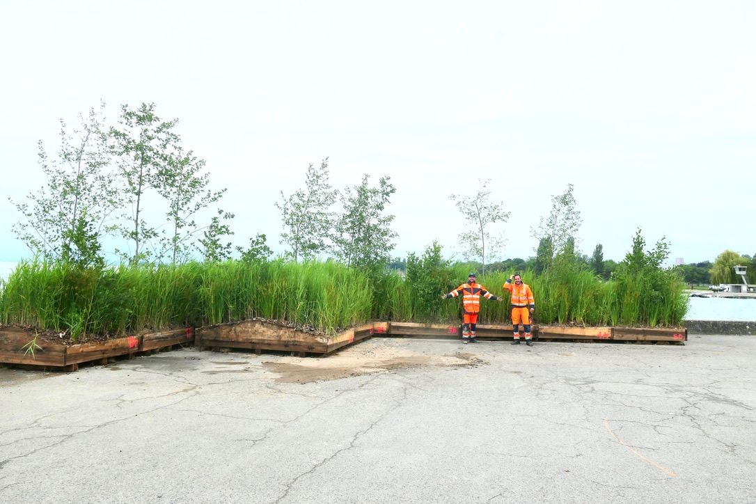 Am Ufer des Sees stehen auf einer großen Asphaltflache große flache Holzbehälter, die mit hohem Schilf und Bäumen bepflanzt sind. Zwei Männer in oranger Kleidung posieren davor. 
