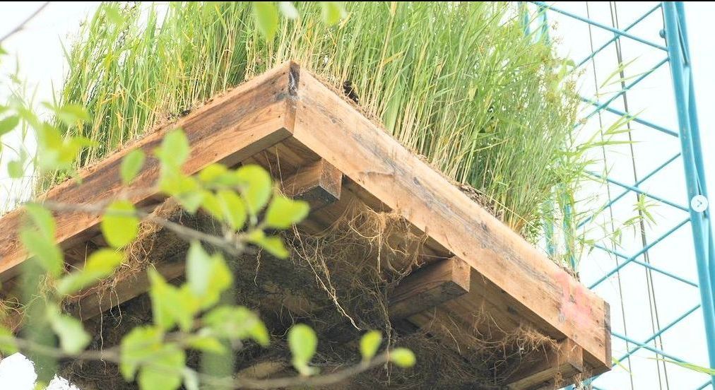 Ein flacher Holzbehälter schwebt in der Luft. Es ist zu erkennen, dass viele Wurzeln durch die Kontruktion gewachsen ist. 