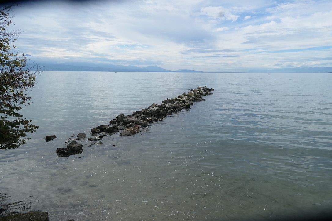 Das Ufer des Genfer Sees, rechts ein asphaltierter Weg, dann eine Steinmauer, davor hohe Aufschüttungen von großen Steinen, bevor das Wasser links kommt. 